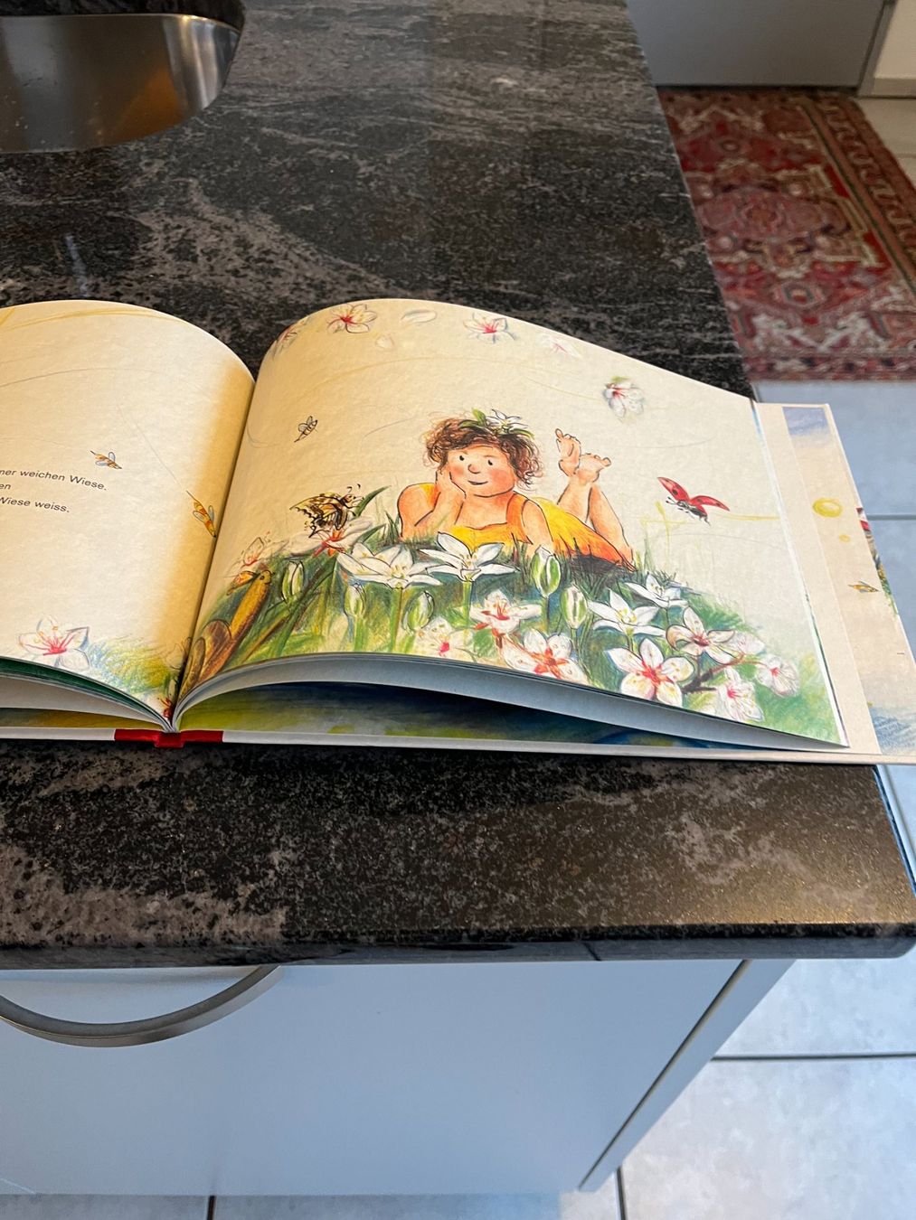 Libri: Kinderbuch, "Zauberkind" Sandra Schuster & Rita Polajnar Top – Usato da Zürich venduto da Roulet 9