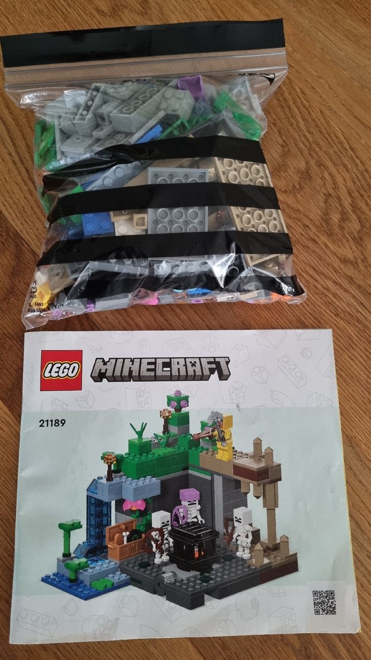 Lego Kit di costruzioni: Lego Minecraft 21189 – Usato da Jonschwil venduto da germann32