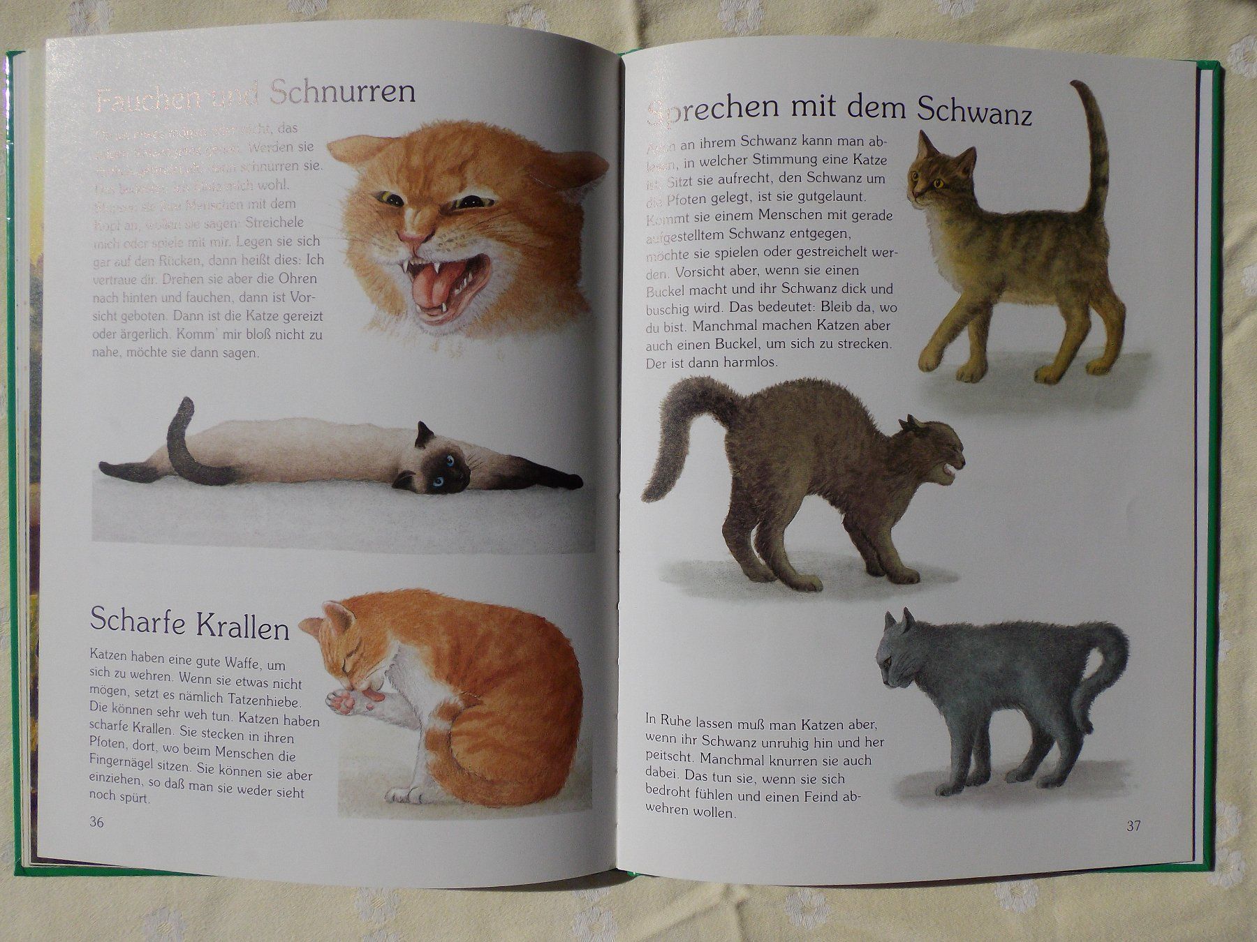 Libri: Tiere im Haus – Usato da Uster venduto da urs_75by 7