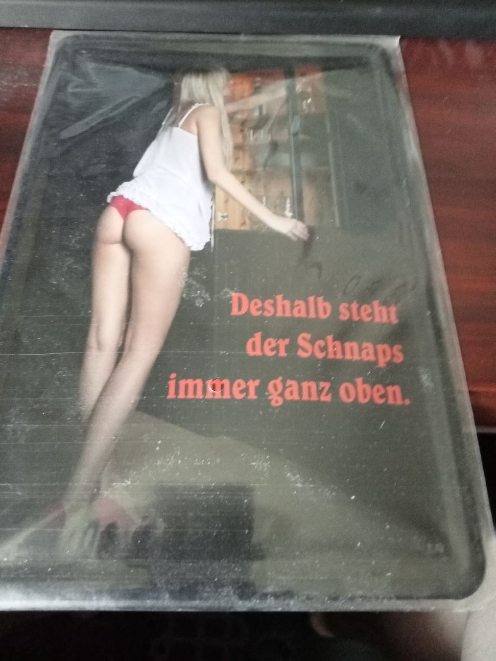 Schilder: Blechschild-DESHALB STEHT DER SCHNAPSIMMER GANZ UNTEN – Neu und originalverpackt aus Rupperswil von big-one-sale