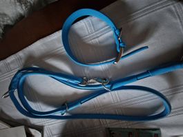 Hundehalsband mit Leine LEDER👍