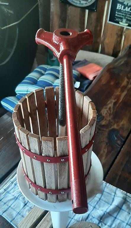 Appareils de cuisine: Saftpresse – D'occasion à St. Margarethen TG par Hampelele 2