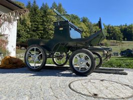 Pferde / Pony Kutsche Schnäppchen Scheunenfund mit Bremse !!