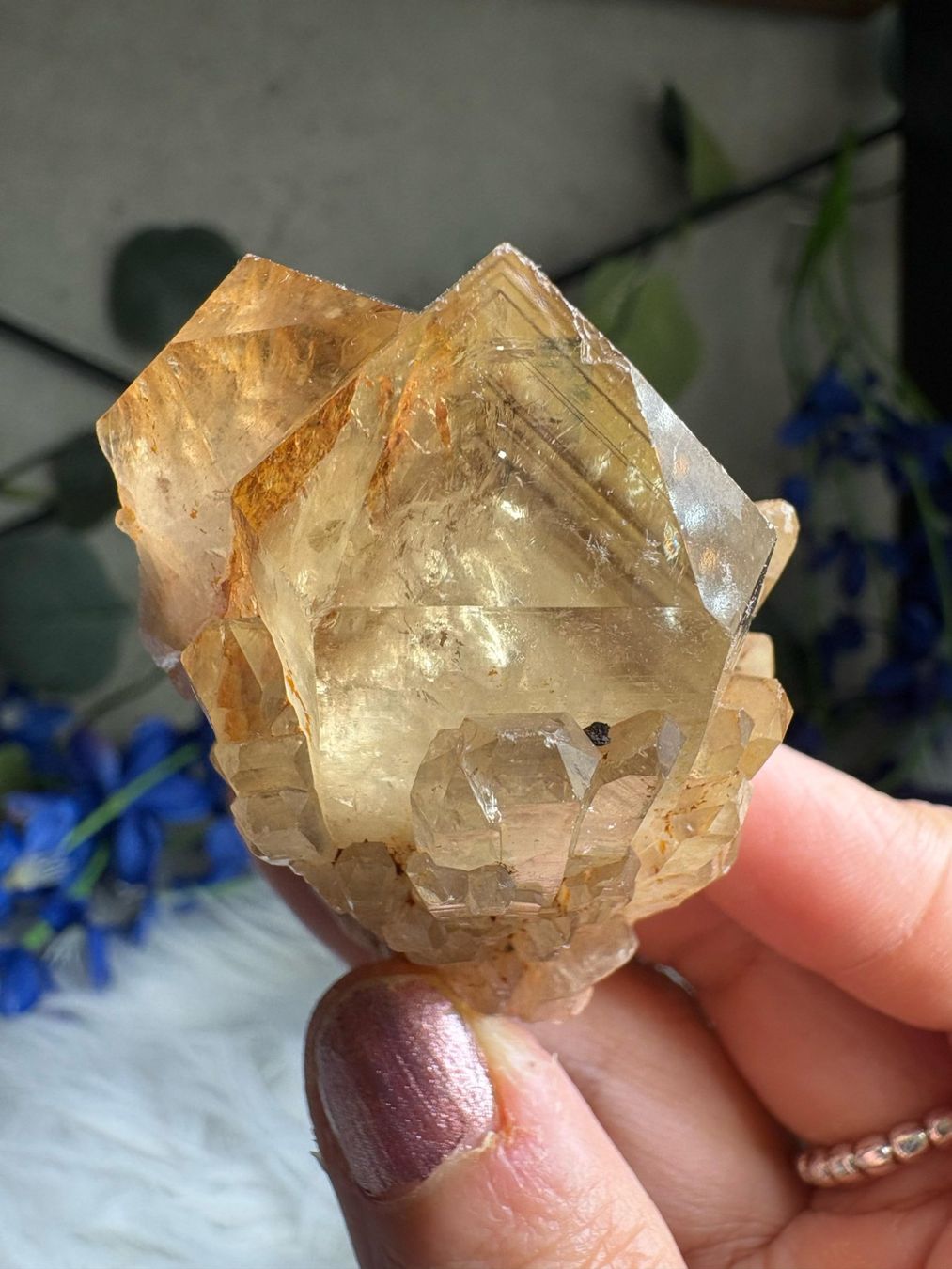 Minerali & Pietre curative: Kundalini Citrin Cluster mit Phantom – Nuovo (secondo la descrizione) da Neuheim venduto da m.hald 6