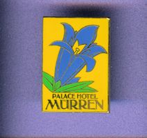 PALACE  HOTEL  MÜRREN