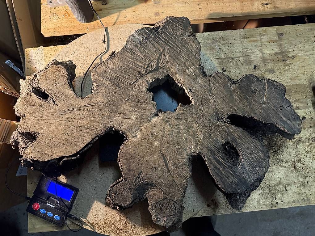 Articoli in legno: Olivenholz Wurzelscheibe W1 – Usato da Buus venduto da macipioji
