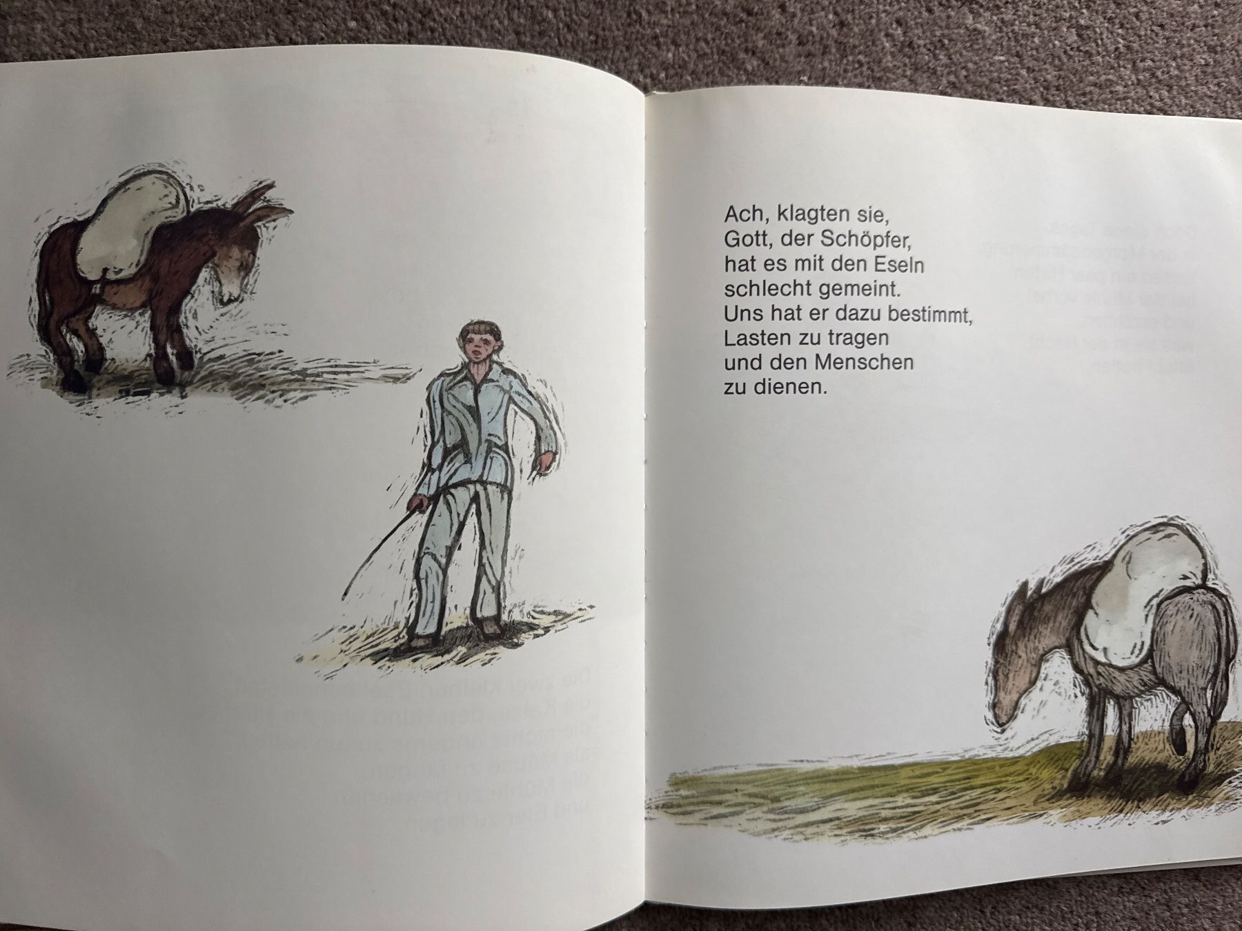 Bücher: Die beiden Weihnachtsesel - Max Bolliger – Neu (gemäss Beschreibung) aus Aarau von Kilauea 3
