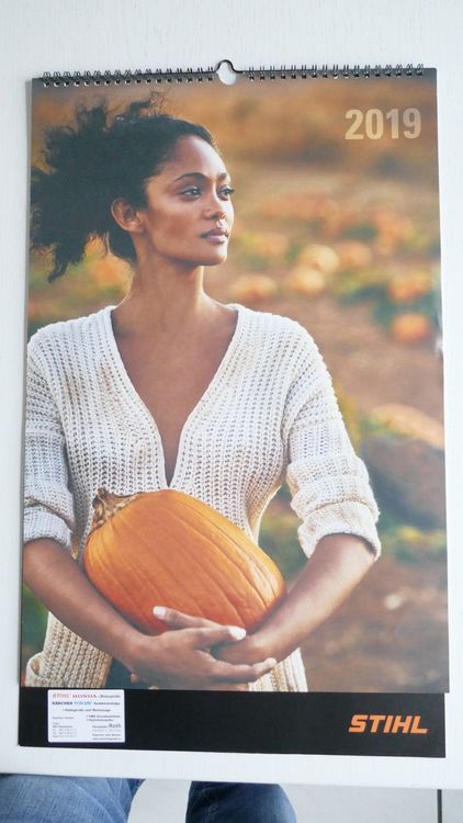 Bauern Kalender 2015 und Stihl Kalender 2019 | Kaufen auf Ricardo