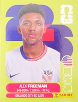 Panini FIFA World Cup USA 6