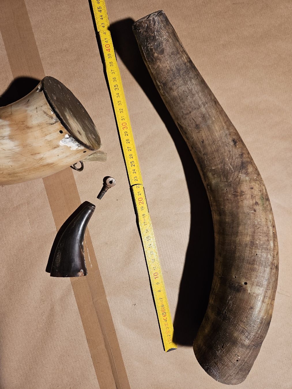 Il mondo degli animali: PULVERHÖRNER  EINS 18.JHT. /, UND SIGNALHORN. – Usato da Maschwanden venduto da OliverM05 7