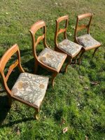 Lot de 4 chaises vaudoises remnbourée chardon Sühle antik