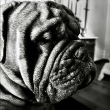 Profile image of Jamesdeal