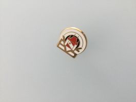 Pin EVS Thun 