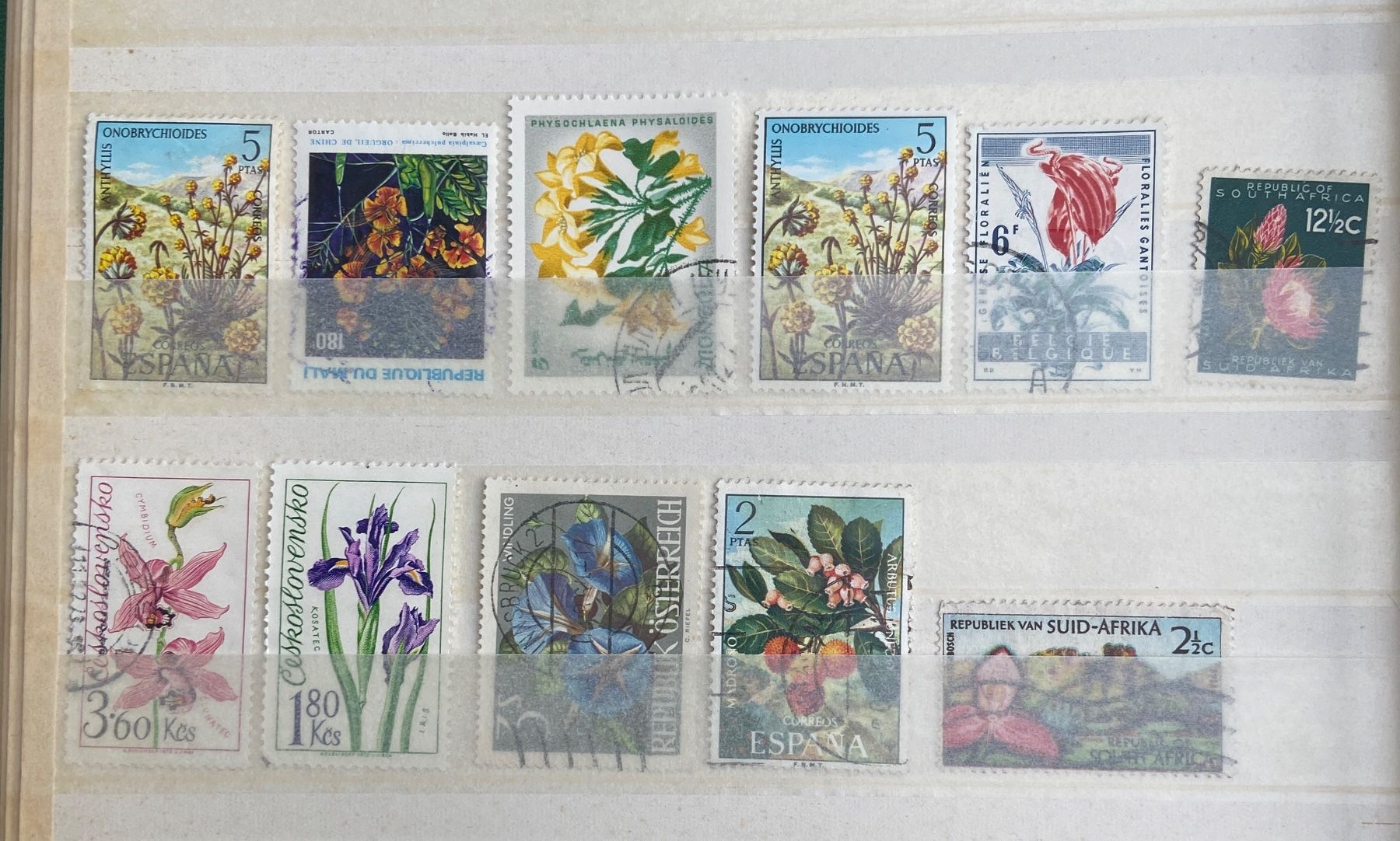 Tutti i francobolli: timbres floraux mondial 4 pages+ – Usato da Collex venduto da RCXGJ 4