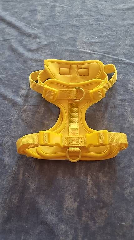 Leine & Halsband: Hundegeschirre – Gebraucht aus St. Gallen von chr_72ml 1