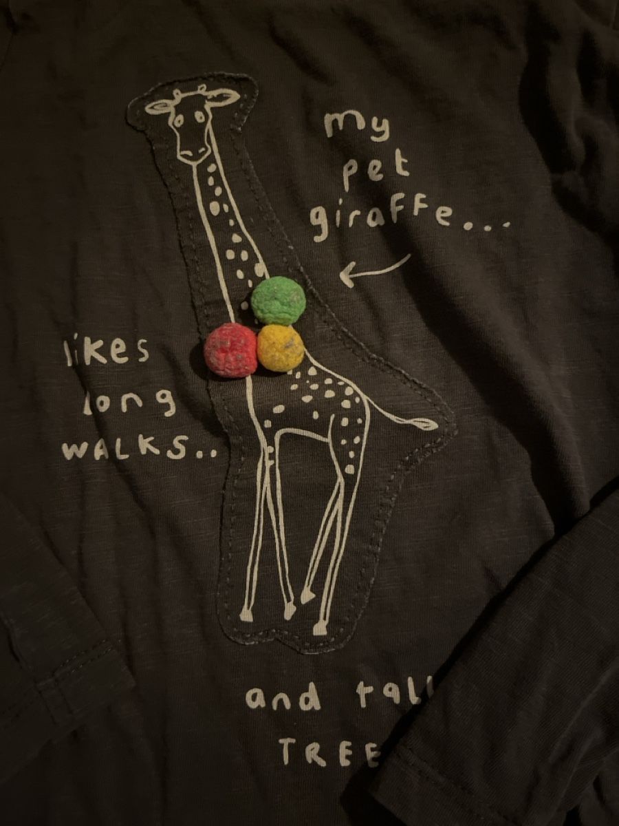 Next Pullover & Sweatshirts: Next Giraffe Langarmshirt Gr 98 – Gebraucht aus Basel von HugChristine 1