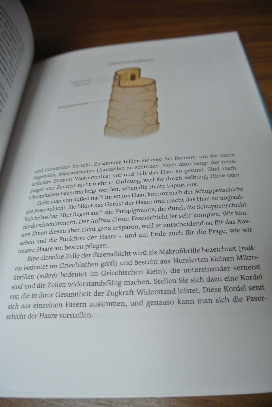 Libri: Alles klar beim Haar – Usato da Rüschlikon venduto da CBPL 1