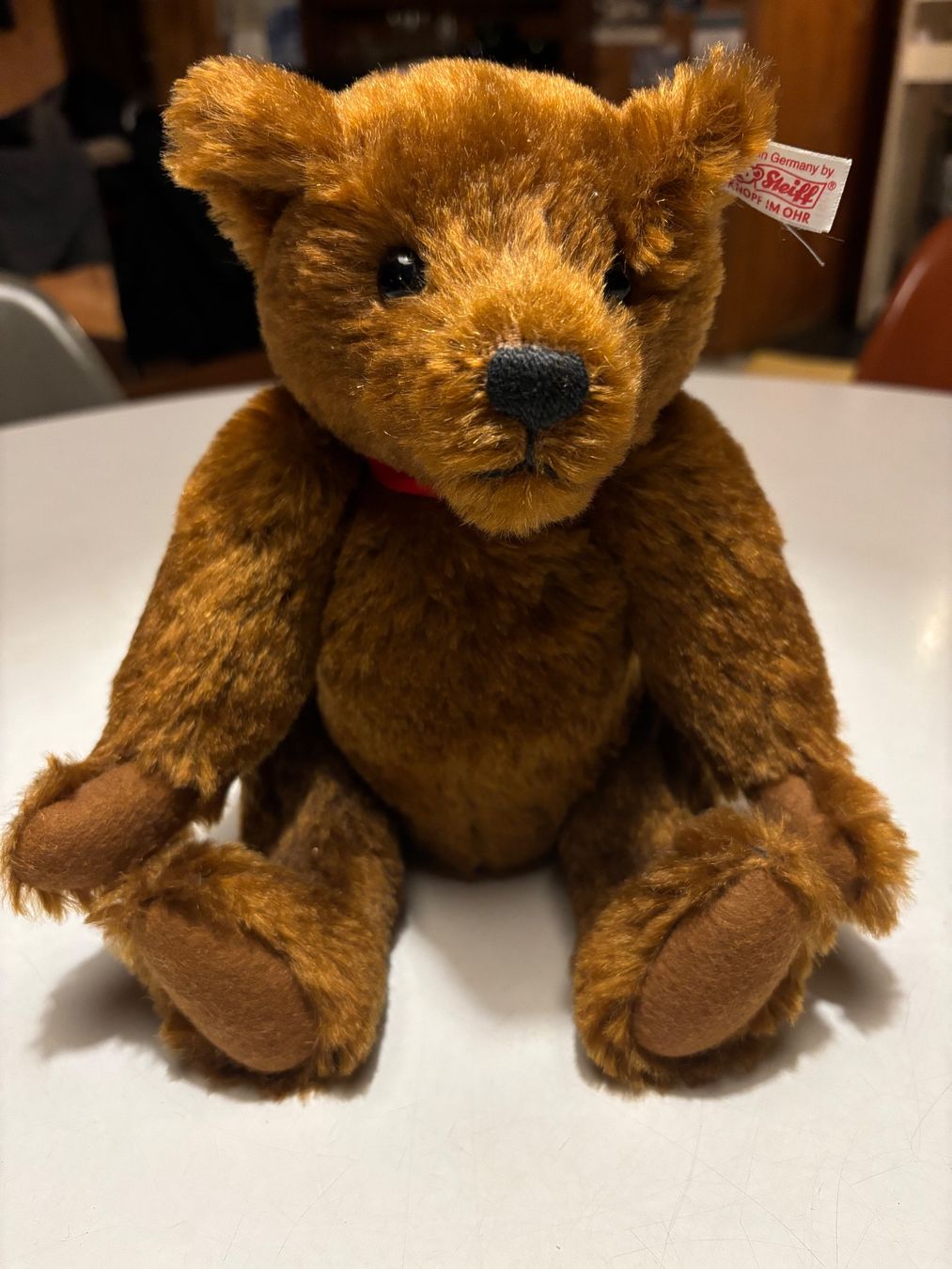 Steiff Giocattoli: Steiff Bär Steiff Club Edition 2003 – Usato da Hinwil venduto da DaniBachman