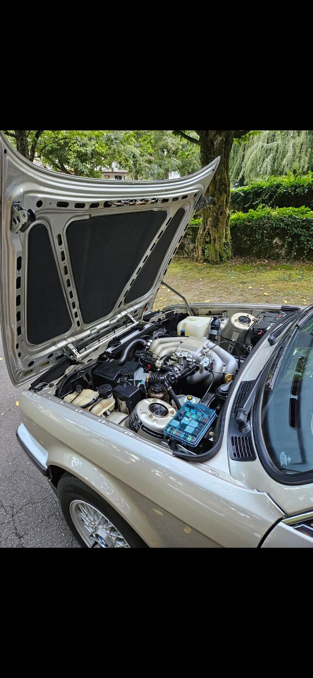 Automobili: BMW E30 320i – Usato da Balsthal venduto da Purina 5
