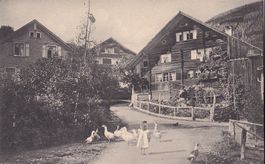 Landwirtschaft Wienachten Dorfstrasse mit Gänsen