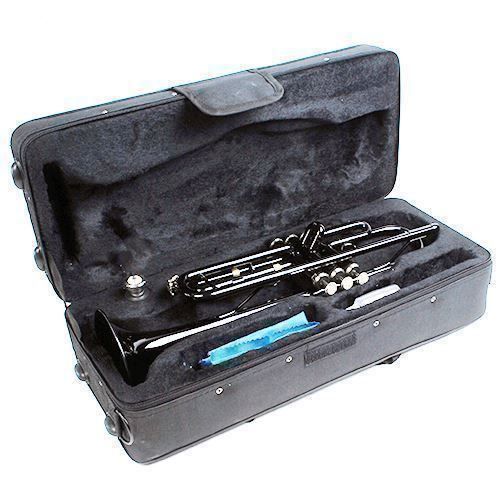 Strumenti musicali: Profi Bb Trompete Messing mit Mundstück – Nuovo (secondo la descrizione) da Thun venduto da coverall 3