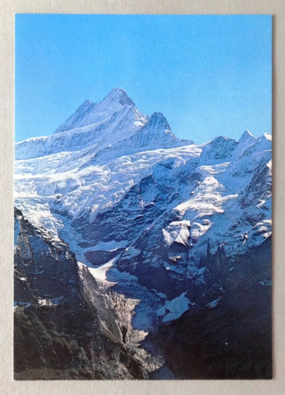 Ansichtskarten: Schreckhorn 4078 m von Grindelwald-First aus – Gebraucht aus Fétigny von Billy2miny
