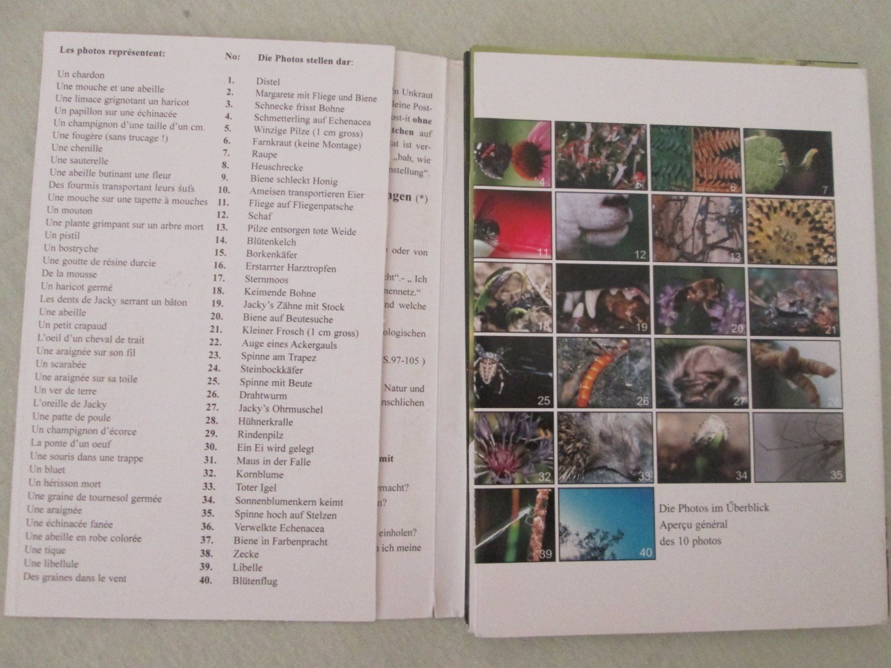 Libri: Wunder der Natur – Usato da Neuchâtel venduto da Dualseele 3