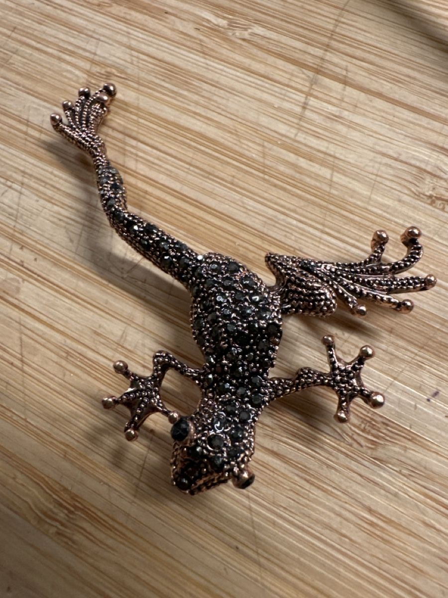 Spille & Fermagli: Frosch Brosche bronce mit Strassteinen – Nuovo (secondo la descrizione) da Trüllikon venduto da angela4444 3