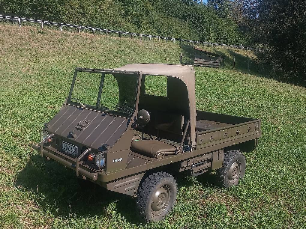 Steyr-Puch Nutzfahrzeuge: Haflinger Puch – Gebraucht aus Werthenstein von joniace 4