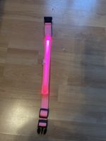Leuchthalsband für Hunde rosa verstellbar Neu