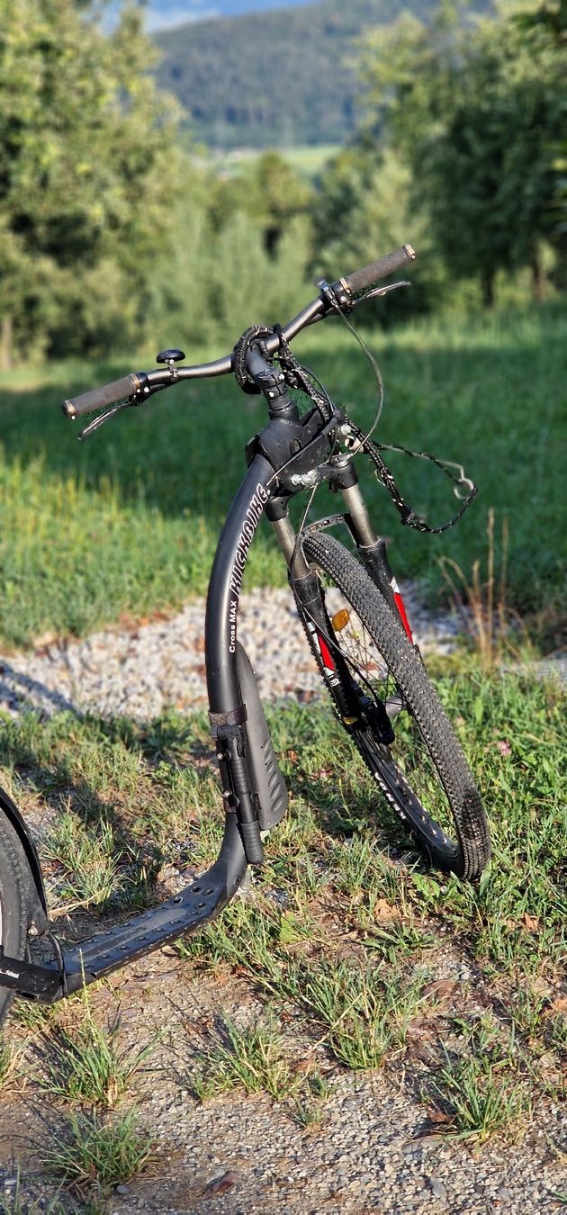 Kickboard: Dogscooter Kickbike Cross, Scheibenbremsen – Usato da Eichberg venduto da flocoshop 9