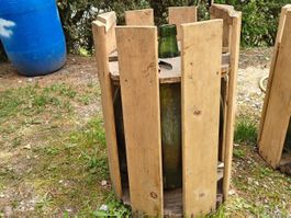 Mostflasche im Holz 1