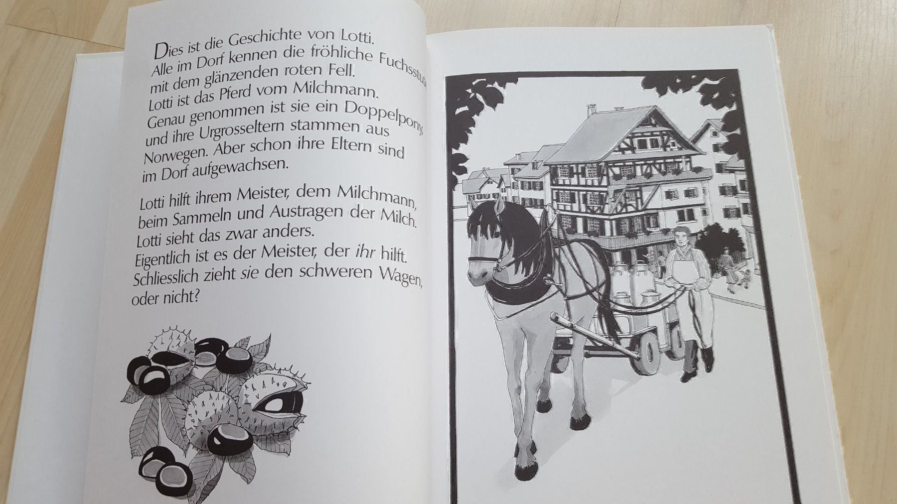 Libri: Vom Lotti und vom Milchmann – Nuovo (secondo la descrizione) da Schönengrund venduto da Liane63 1