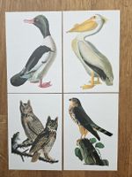 set 4 Vintage high quality  Prints Birds Vogel 17*24.5 cm