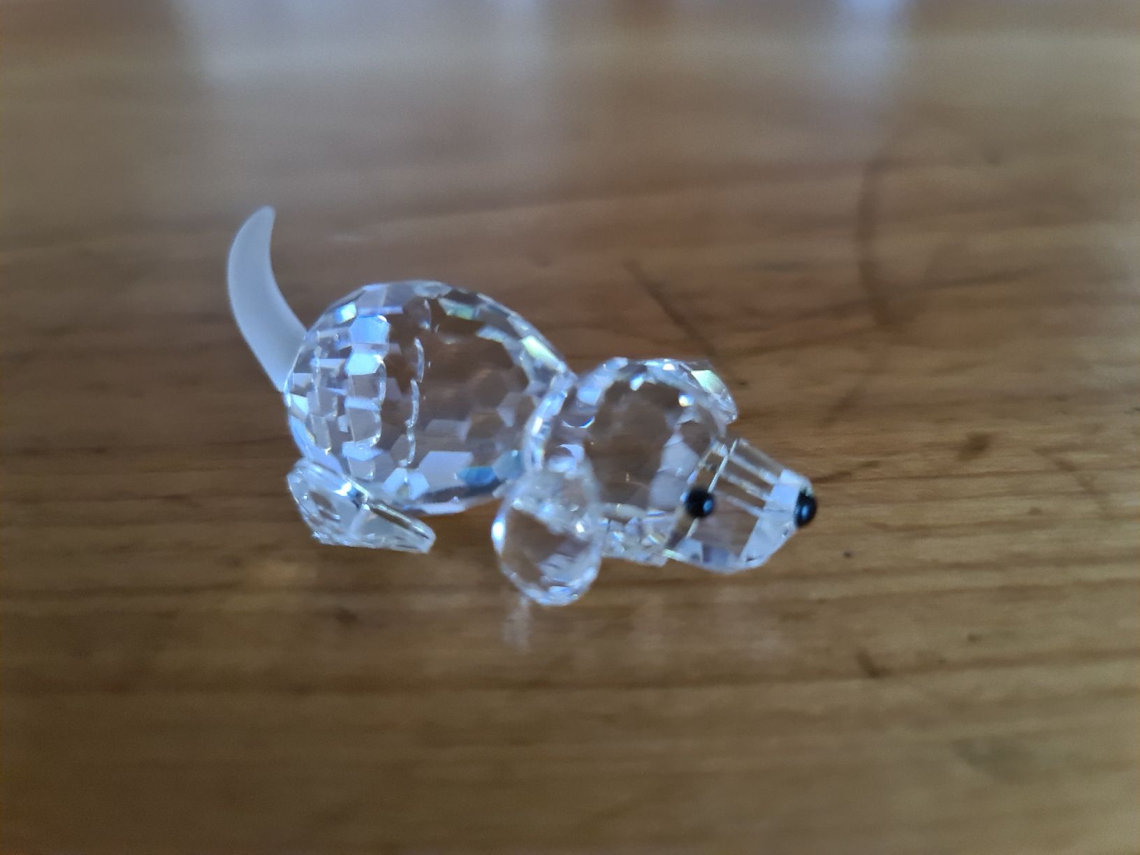 Swarovski Statuette: Swarovski Figur kleiner Hund  – Usato da henau venduto da Rockj 1