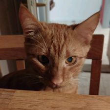 Profile image of Muggae