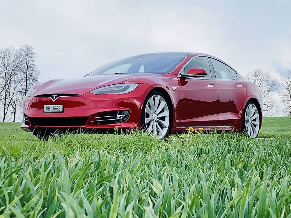 Tesla Model D