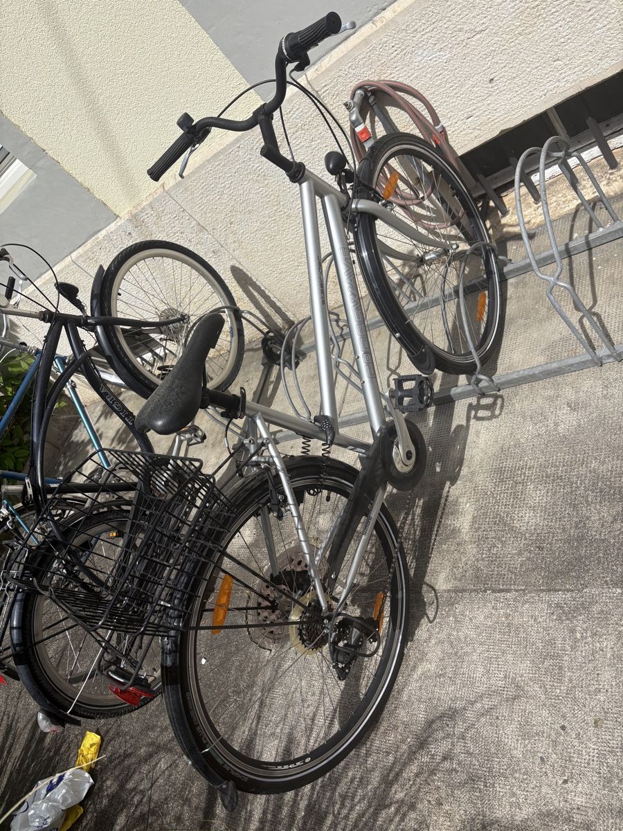 Crosswave Biciclette: Citybike – Usato da Basel venduto da sandra____