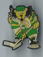 Eishockey Pin