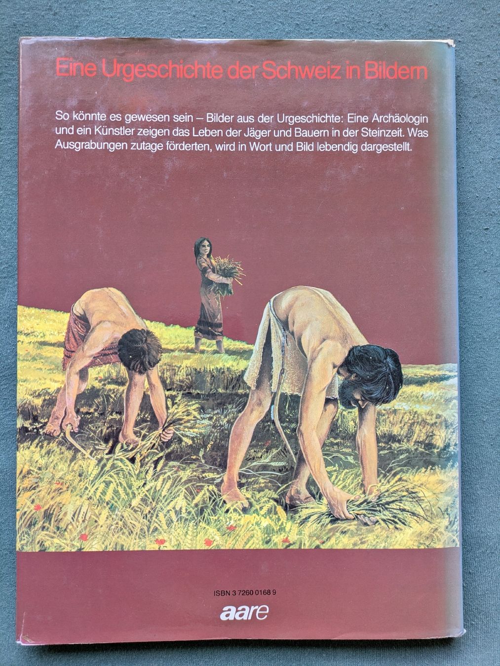 Libri: Fundort Schweiz Band 1 – Usato da Wettingen venduto da ut5430 1