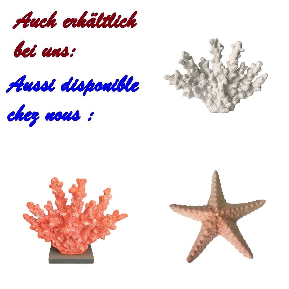 Tutte le decorazioni: Deko Seestern Keramik 23.5 cm – Nuovo e nell'imballaggio originale da Wettingen venduto da Swala 2