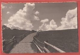 Grächen - Frühlingslandschaft - Fotokarte Gyger ca. 1935