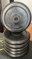 Dischi in ghisa gommati da 5 kg