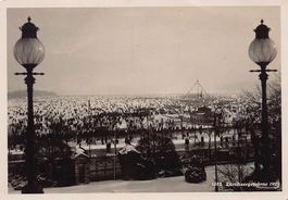 Zürichseegfrörne 1929, Volksfest, Weitsicht
