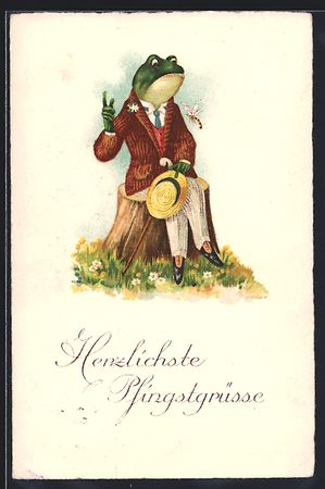 elegant gekleideter Frosch fühlt sich v