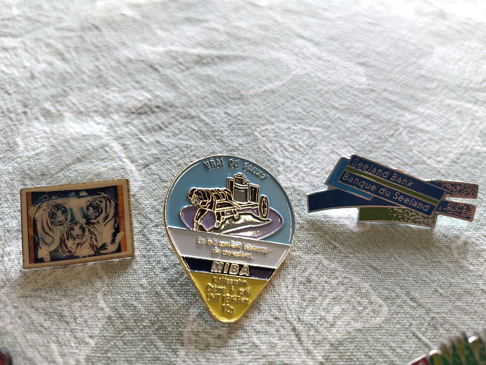 Placchette & Badge: Pin Konvolut 10 Stk – Usato da Biel/Bienne venduto da DoNa82 1