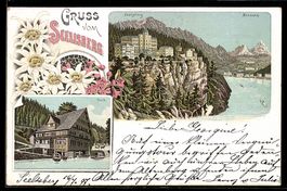 Lithographie Seelisberg, Hotel auf Fels am See, Treib und Br