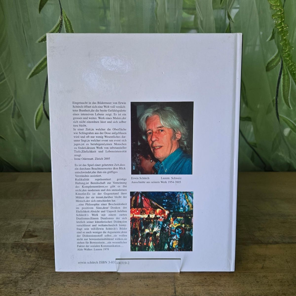 Libri: Erwin Schürch Ausstellungskatalog – Usato da Merlischachen venduto da Sheavy 3