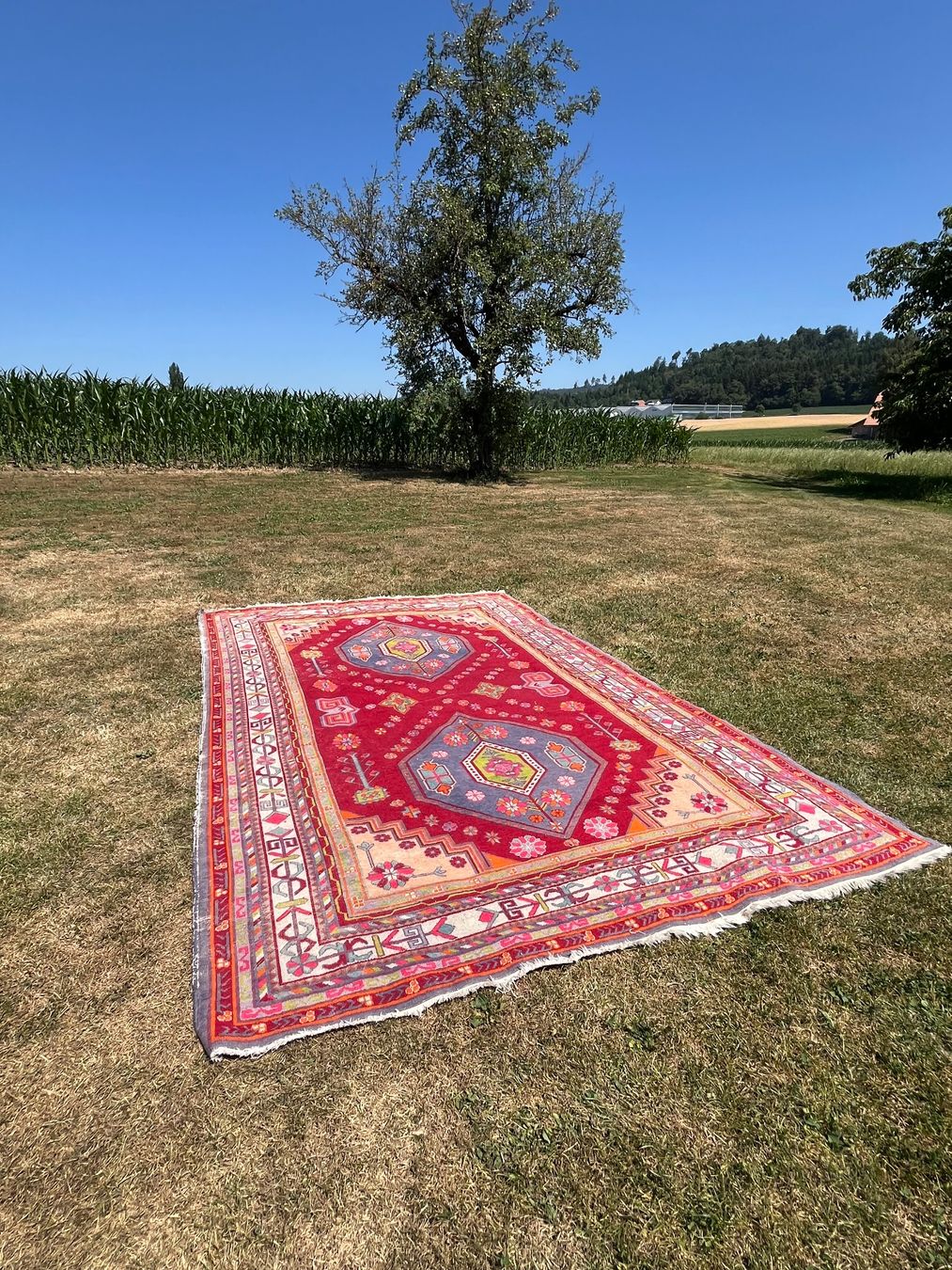 Tapis: Orient Teppich Handgeknüpft – D'occasion à Allmendingen b. BE par juair 1