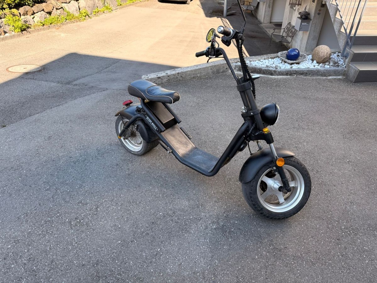Voiturettes électriques: Elektro-Bike – D'occasion à Altstätten SG par guterman